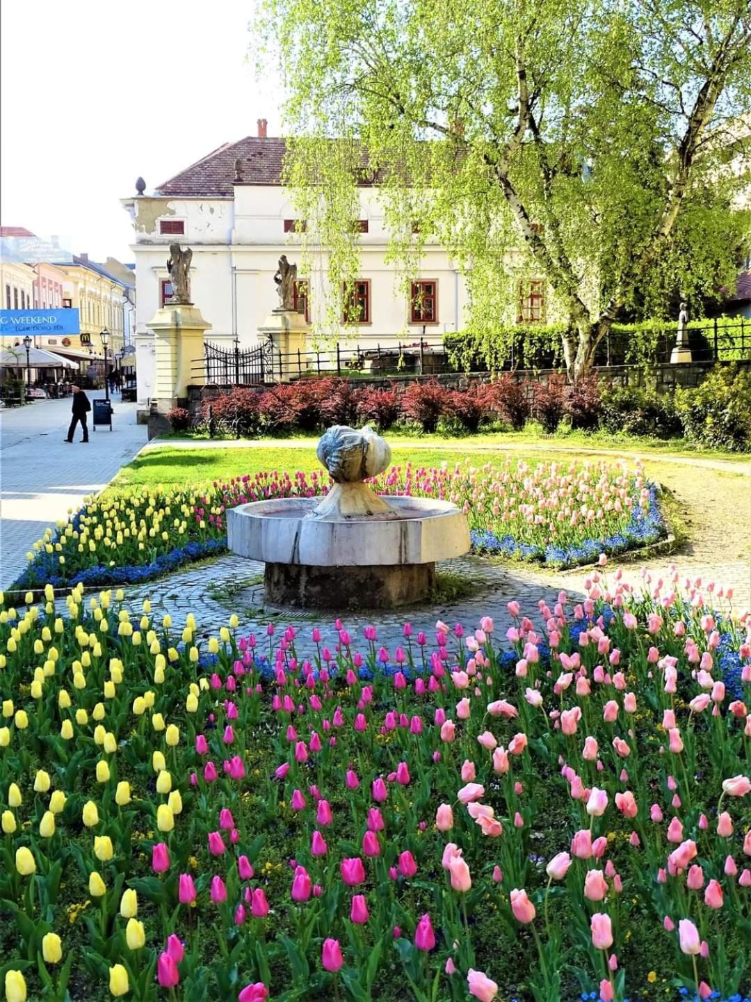 Apartament Carlone House Eger Zewnętrze zdjęcie